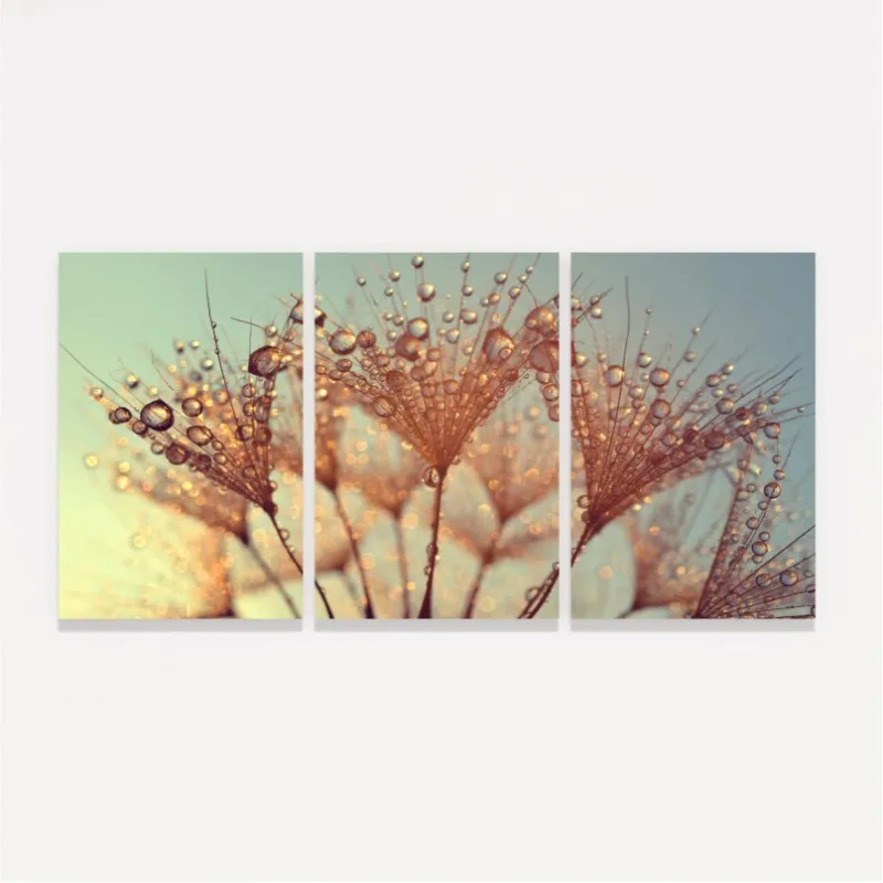 Quadro Flor Dente de Leão Gotas de Orvalho decorativo