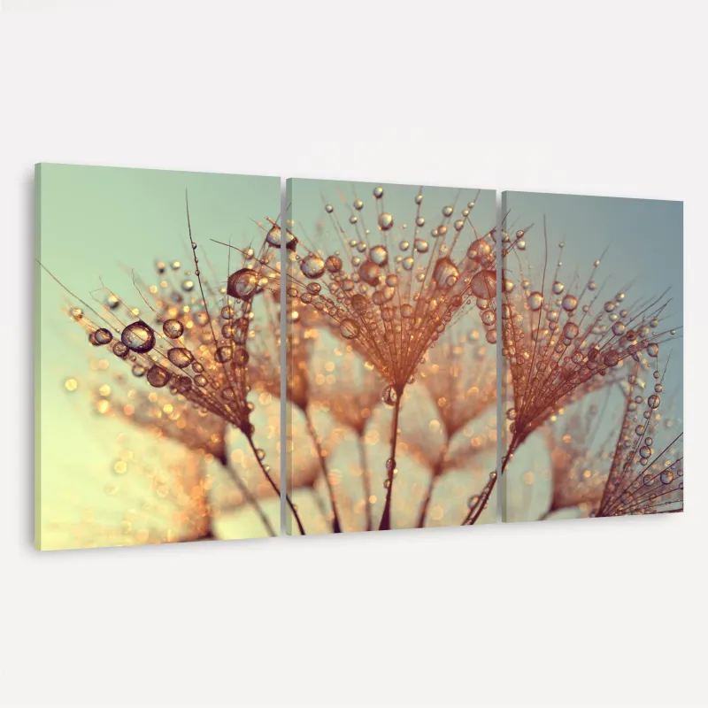 Quadro Flor Dente de Leão Gotas de Orvalho decorativo