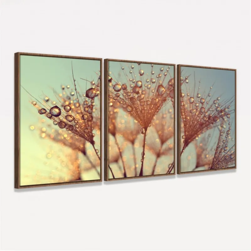 Quadro Flor Dente de Leão Gotas de Orvalho decorativo