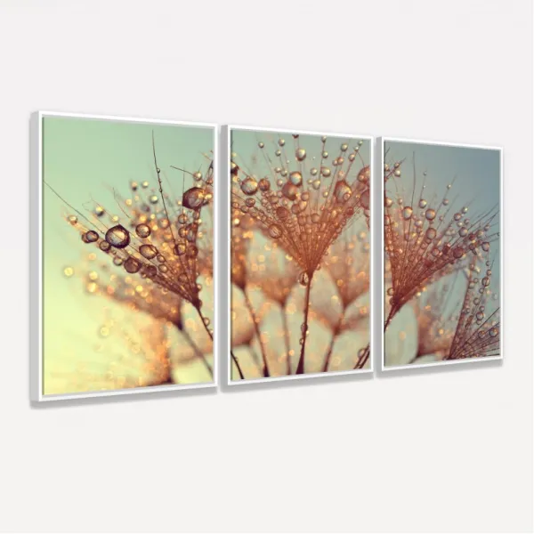 Quadro Flor Dente de Leão Gotas de Orvalho decorativo