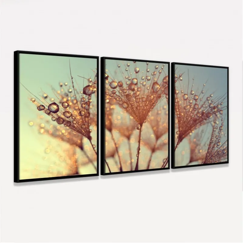 Quadro Flor Dente de Leão Gotas de Orvalho decorativo