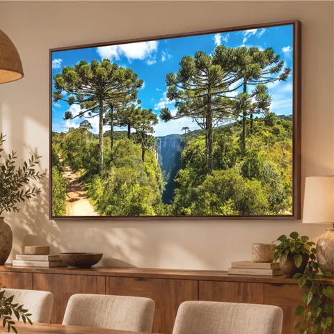 Quadro Árvores de Araucária a Grandeza da Natureza sob o Céu Azul