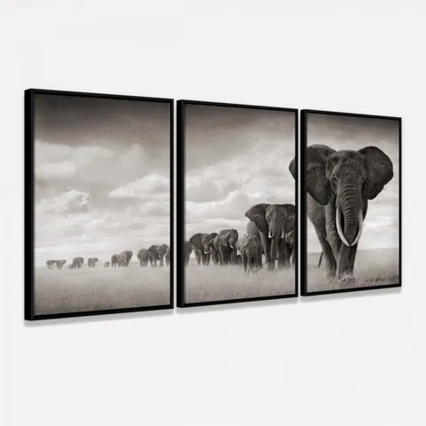 Quadros Decorativos Manada De Elefantes