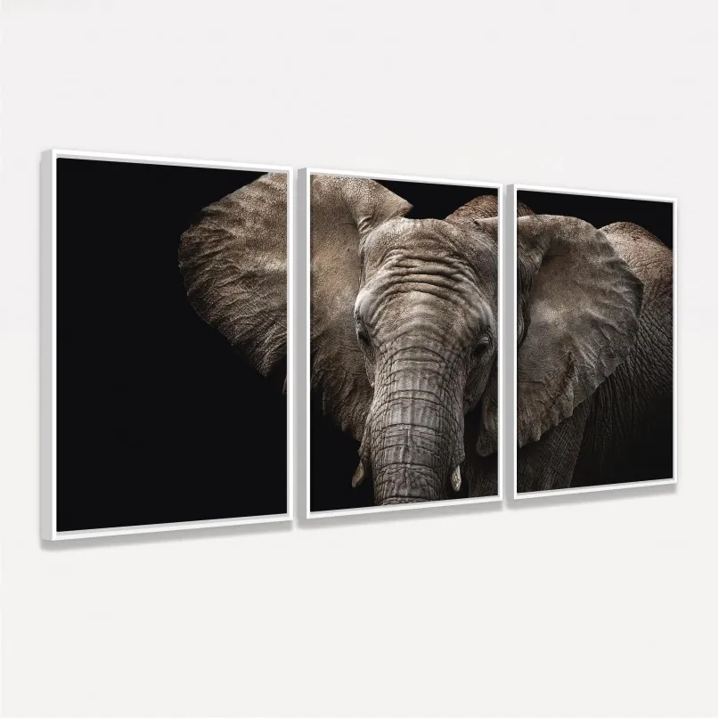 Quadro Elefante em Arte - 3 Peças