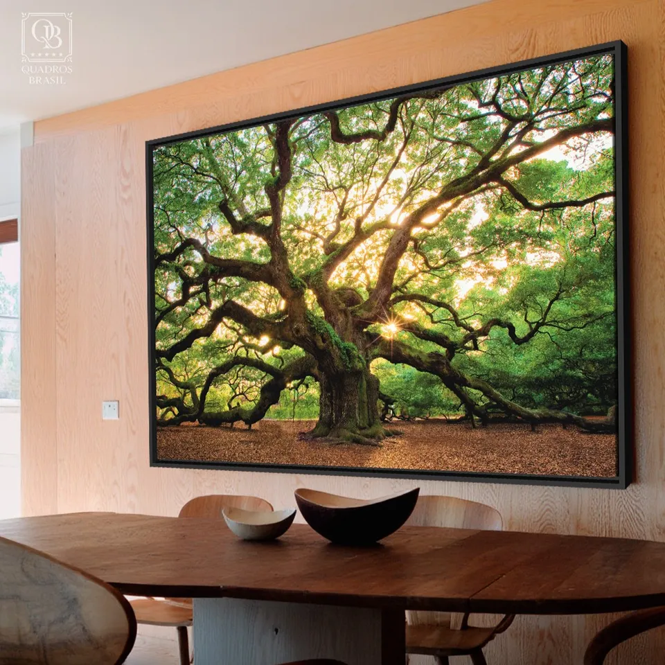 Quadro Árvore Carvalho Antigo Grandes Raízes