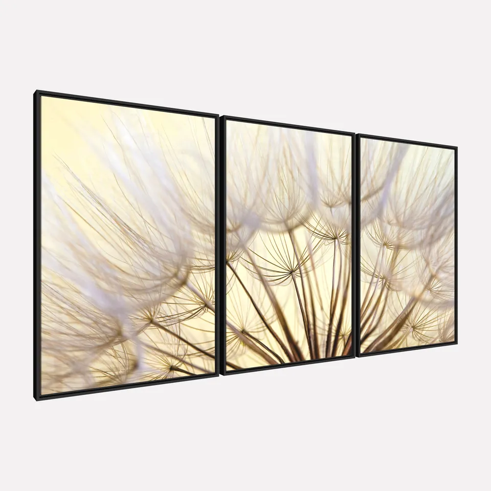 Quadro Flores Dente de Leao Closeup Natureza em Arte 3 Pecas