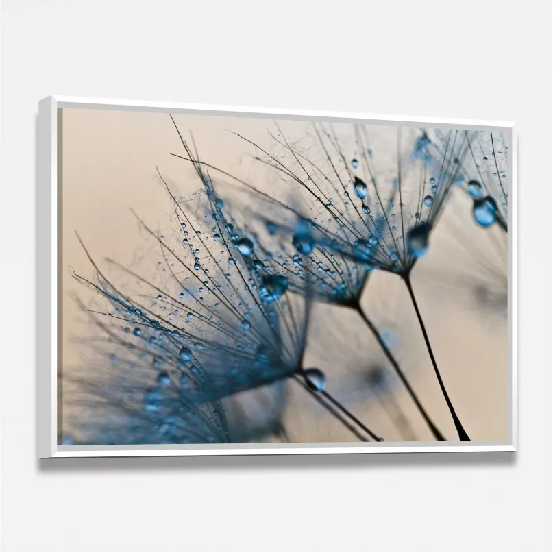Quadro Flor Dente de Leão Macro Gotas de Água Quadro Flor Dente de Leão Macro Gotas de Água