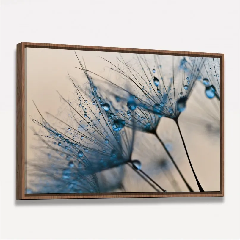 Quadro Flor Dente de Leão Macro Gotas de Água Quadro Flor Dente de Leão Macro Gotas de Água