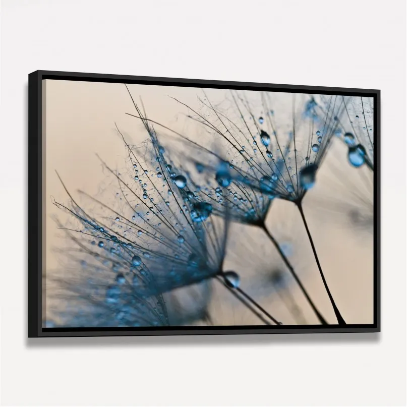 Quadro Flor Dente de Leão Macro Gotas de Água Quadro Flor Dente de Leão Macro Gotas de Água