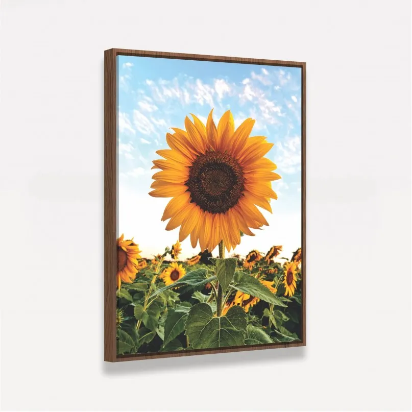 Quadro Flor de Girassol Ao Céu Azul - Amazing Sunflower Quadro Flor de Girassol Ao Céu Azul - Amazing Sunflower