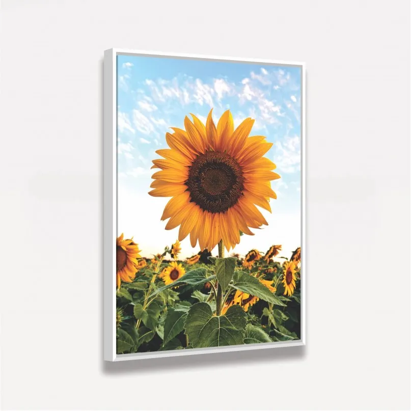 Quadro Flor de Girassol Ao Céu Azul - Amazing Sunflower Quadro Flor de Girassol Ao Céu Azul - Amazing Sunflower