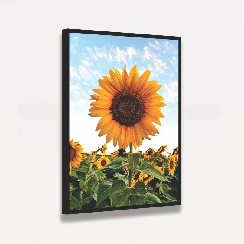 Quadro Flor de Girassol Ao Céu Azul - Amazing Sunflower Quadro Flor de Girassol Ao Céu Azul - Amazing Sunflower