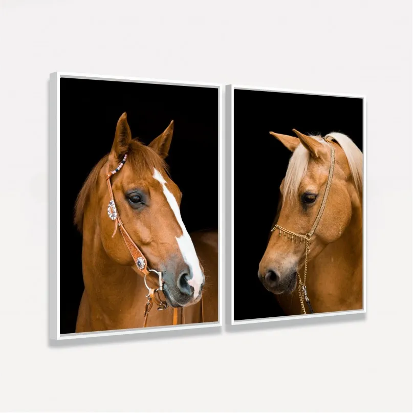 Quadro Casal de Cavalos Marrom Sobre Preto Duo Quadro Casal de Cavalos Marrom Sobre Preto Duo