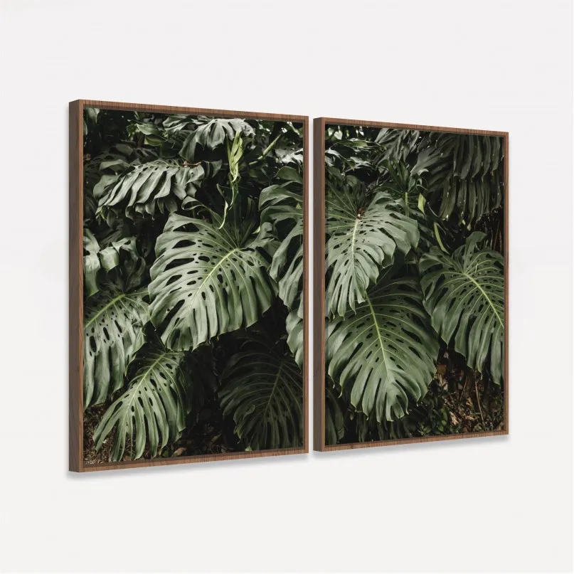 Quadro Folhas Costela de Adão Duo no Jardim - Kit 2 Telas Quadro Folhas Costela de Adão Duo no Jardim - Kit 2 Telas