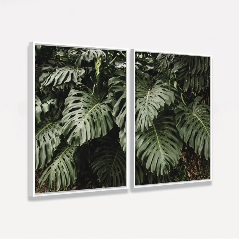 Quadro Folhas Costela de Adão Duo no Jardim - Kit 2 Telas Quadro Folhas Costela de Adão Duo no Jardim - Kit 2 Telas