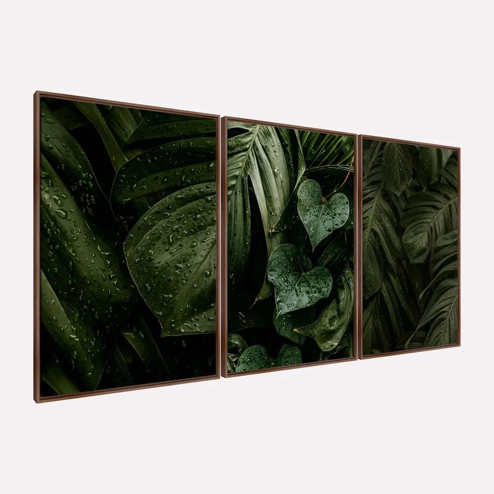 Quadro Plantas Naturais Folhagem Maravilhosa Gotas de Chuva Quadro Plantas Naturais Folhagem Maravilhosa Gotas de Chuva