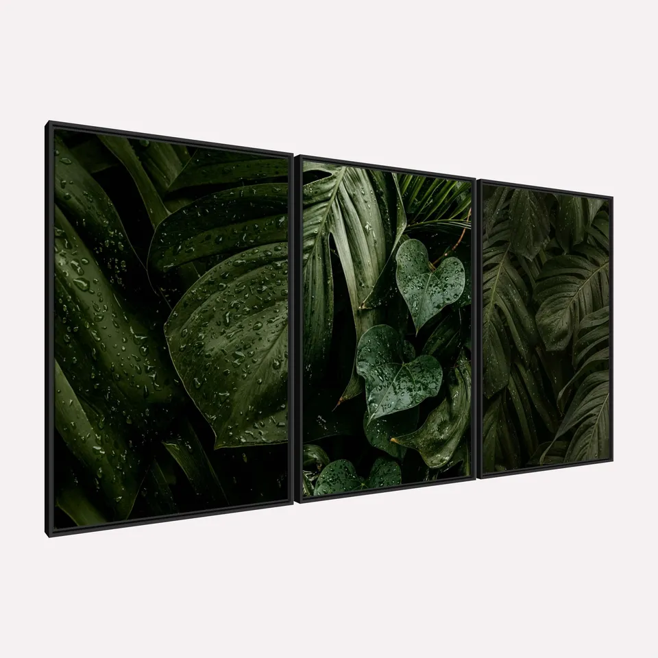 Quadro Plantas Naturais Folhagem Maravilhosa Gotas de Chuva Quadro Plantas Naturais Folhagem Maravilhosa Gotas de Chuva