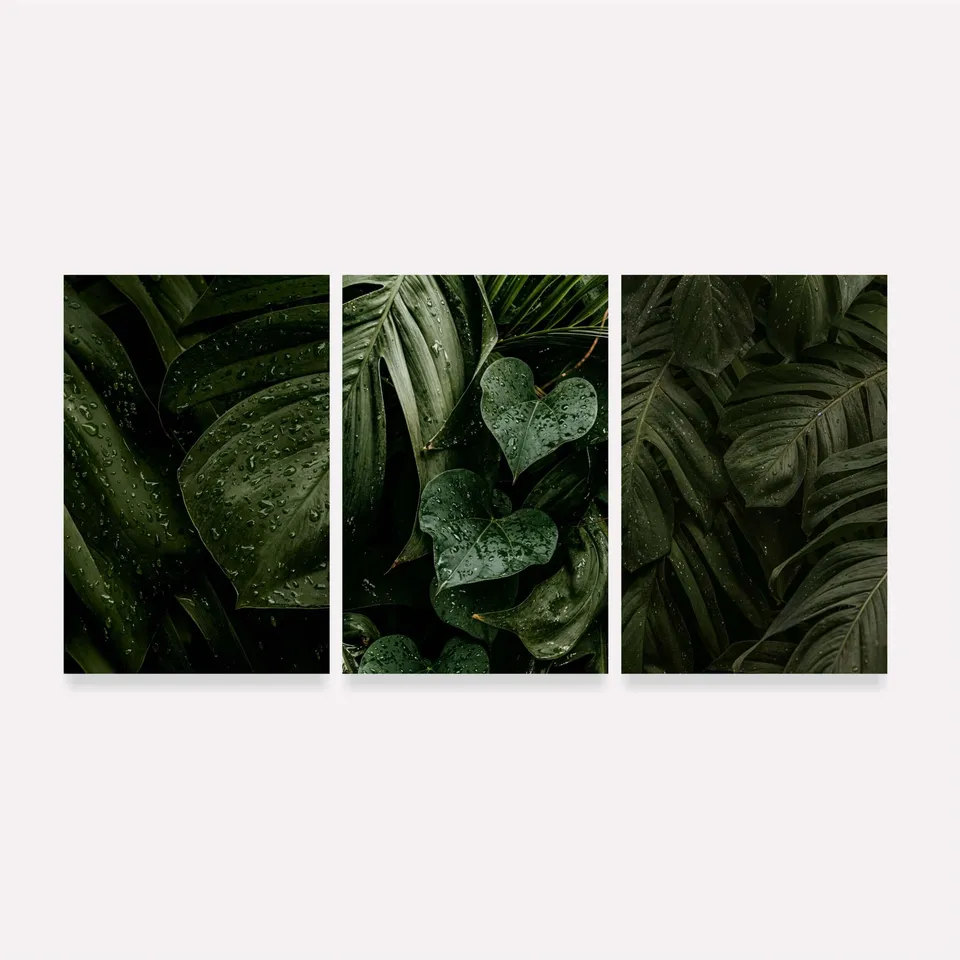Quadro Plantas Naturais Folhagem Maravilhosa Gotas de Chuva Quadro Plantas Naturais Folhagem Maravilhosa Gotas de Chuva