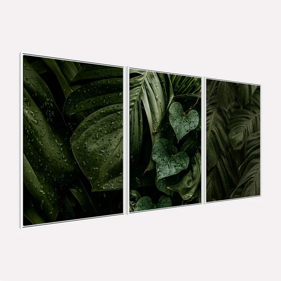 Quadro Plantas Naturais Folhagem Maravilhosa Gotas de Chuva Quadro Plantas Naturais Folhagem Maravilhosa Gotas de Chuva