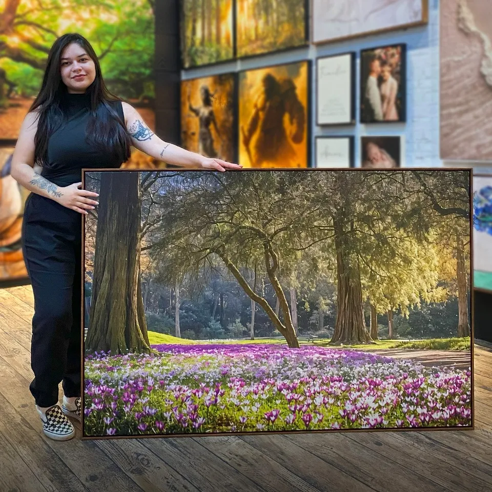 Quadro Jardim das Flores Roxas sob a Proteção das Árvores Iluminadas