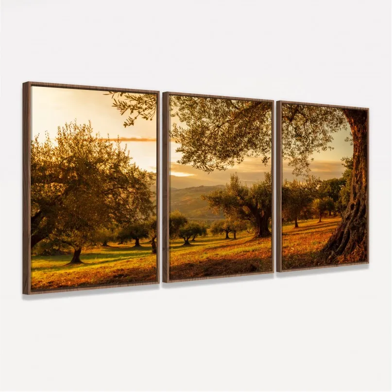 Quadro Decorativo Paisagem Oliveiras no Campo ao Entardecer