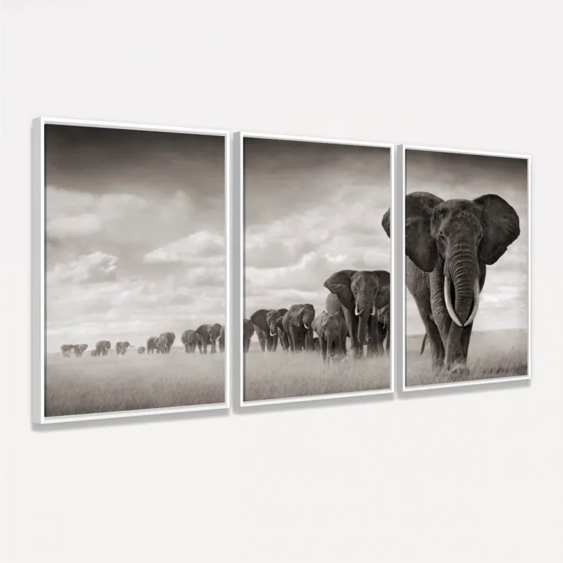 Quadros Decorativos Manada De Elefantes Quadros Decorativos Manada De Elefantes