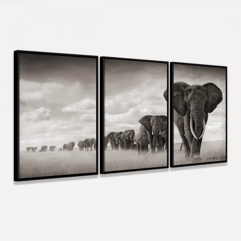 Quadros Decorativos Manada De Elefantes Quadros Decorativos Manada De Elefantes